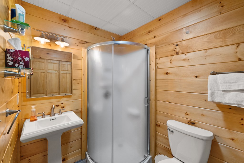 148 Dream Cove Road Cherry Log, GA 30522 - Photo 22 of 29 a bathroom with a sink toilet and shower