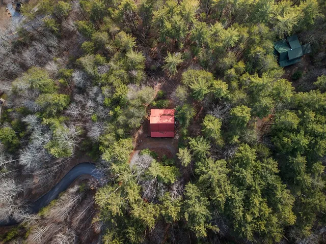 a view of a forest with mountains in the background
