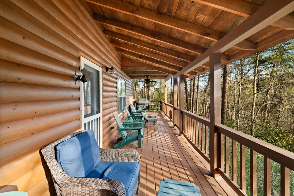 148 Dream Cove Road Cherry Log, GA 30522 - Photo 10 of 29 a view of porch with furniture