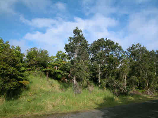 19-4264 Lot 175 Road Volcano, HI 96785 - Photo 1 of 9 Gallery Image 1