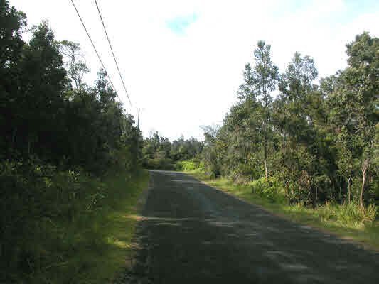 19-4264 Lot 175 Road Volcano, HI 96785 - Photo 5 of 9 Gallery Image 5