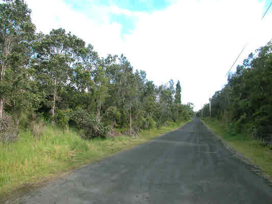 19-4264 Lot 175 Road Volcano, HI 96785 - Photo 6 of 9 Gallery Image 6