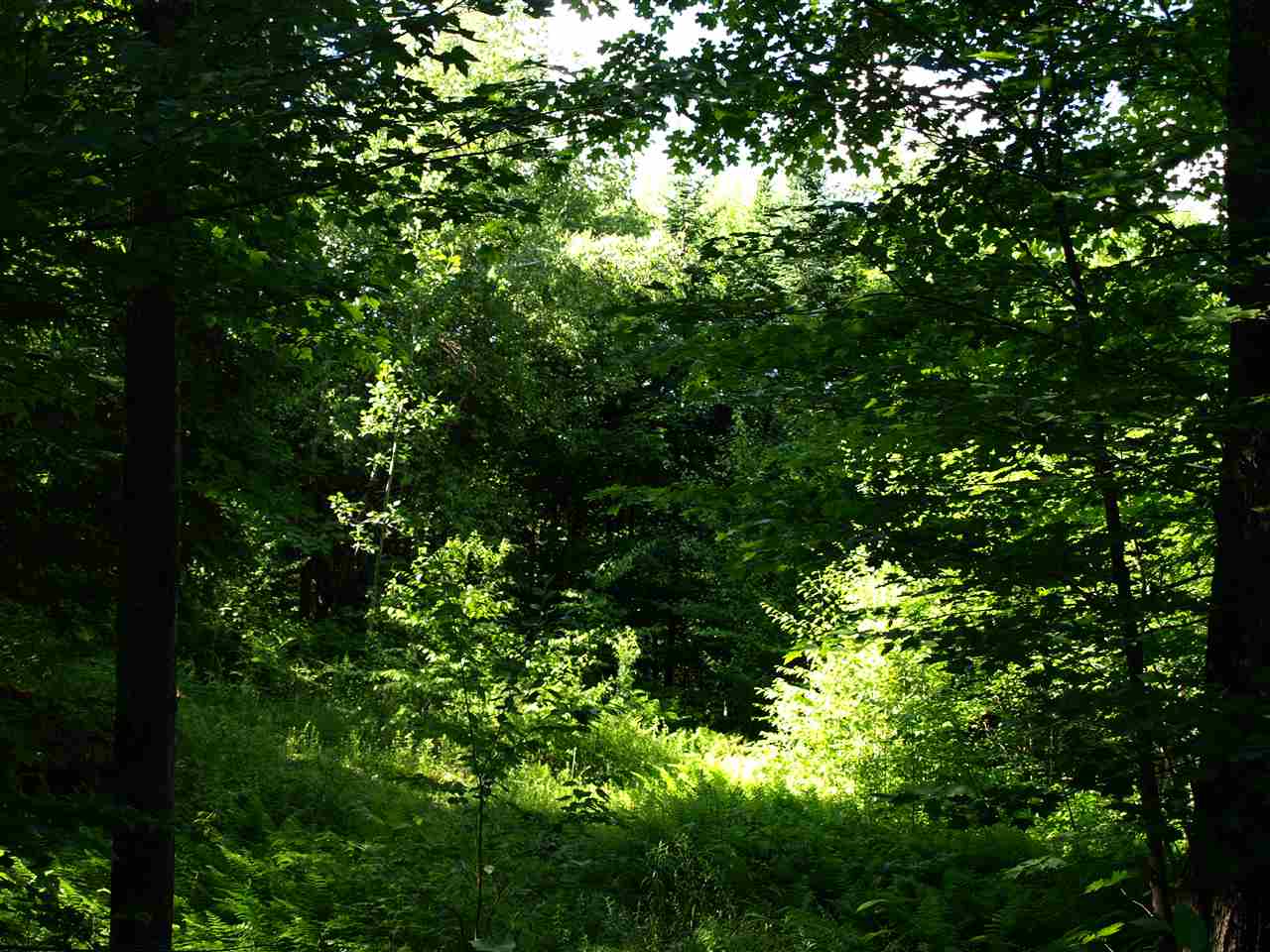 397 Deslandes Road Westfield, VT 05874 - Photo 23 of 28