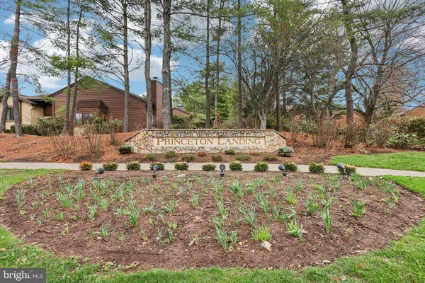 a view of a yard with large tree