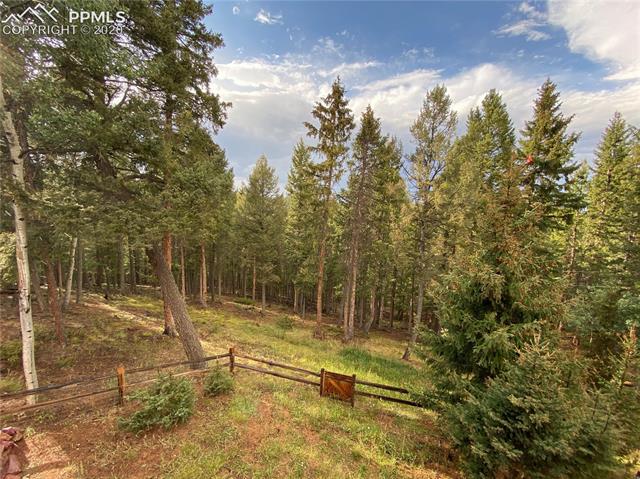 687 Ridge Road Divide, CO 80814 - Photo 39 of 40