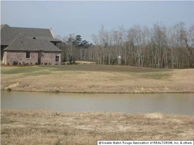 Lot 4 Wax Road Denham Springs, LA 70726 - Photo 5 of 12 Gallery Image 5