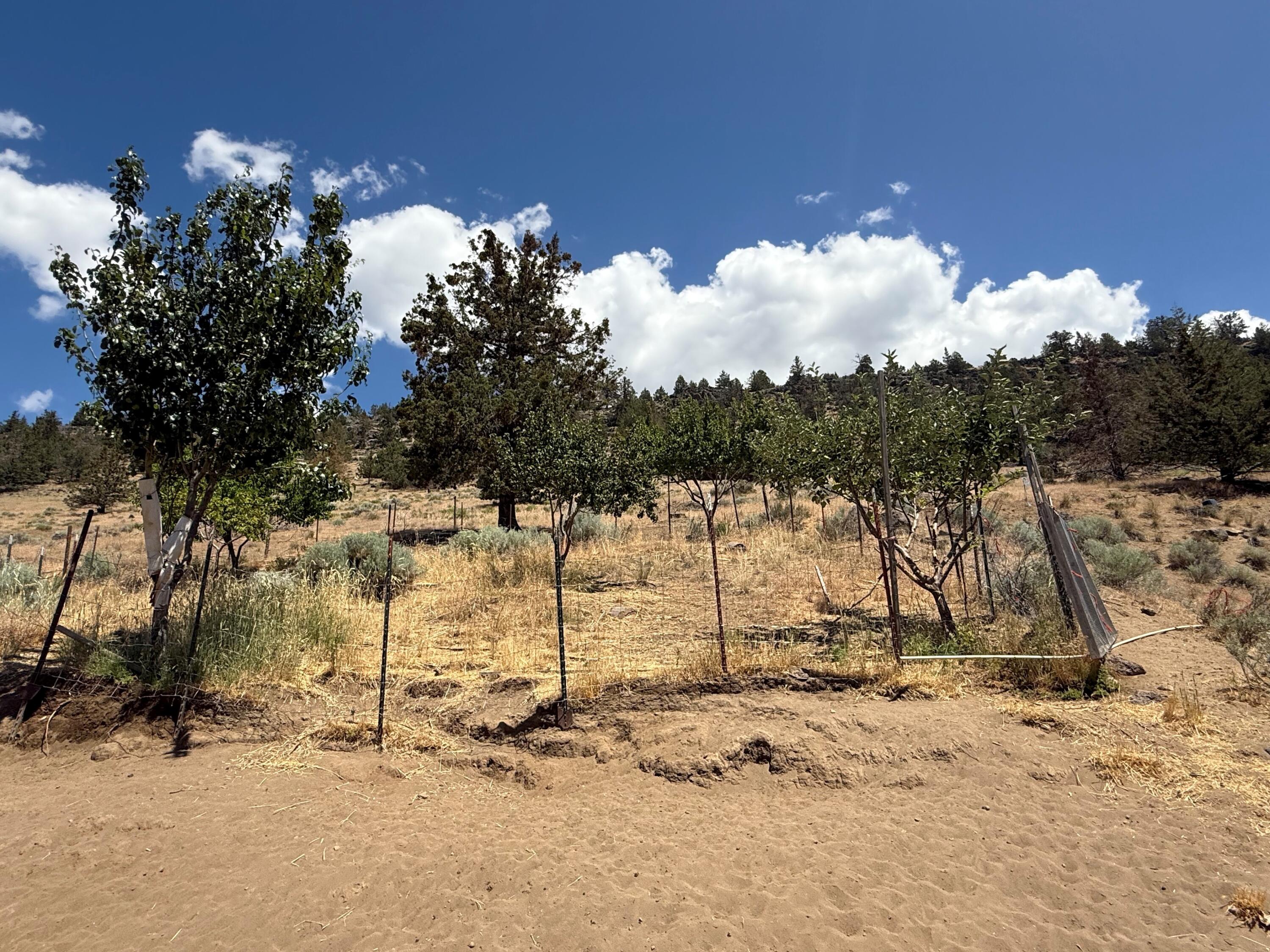 17550 Maupin Road Malin, OR 97632 - Photo 61 of 62 Gallery Image 61