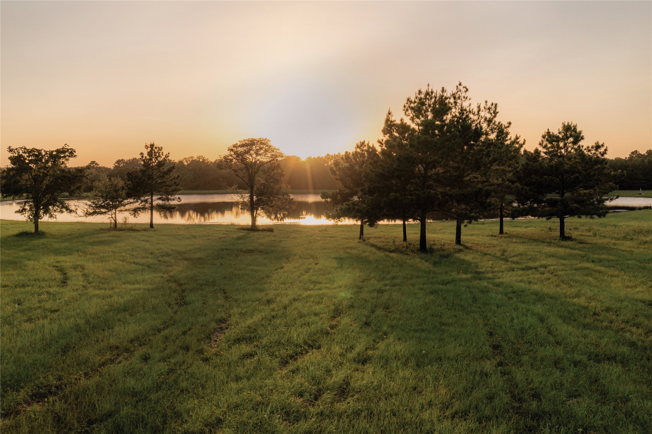 15702 Ridge Rock Road Willis, TX 77378 - Photo 15 of 19 a view of a green field with sitting area