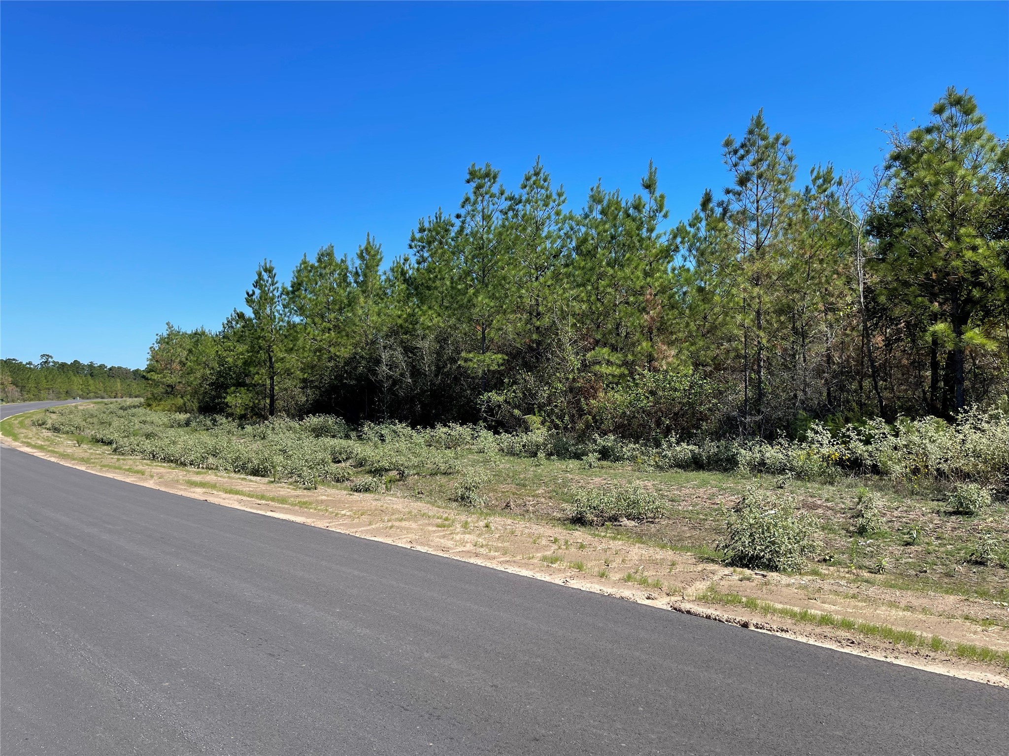 15702 Ridge Rock Road Willis, TX 77378 - Photo 7 of 19 a view of a yard with wooden fence