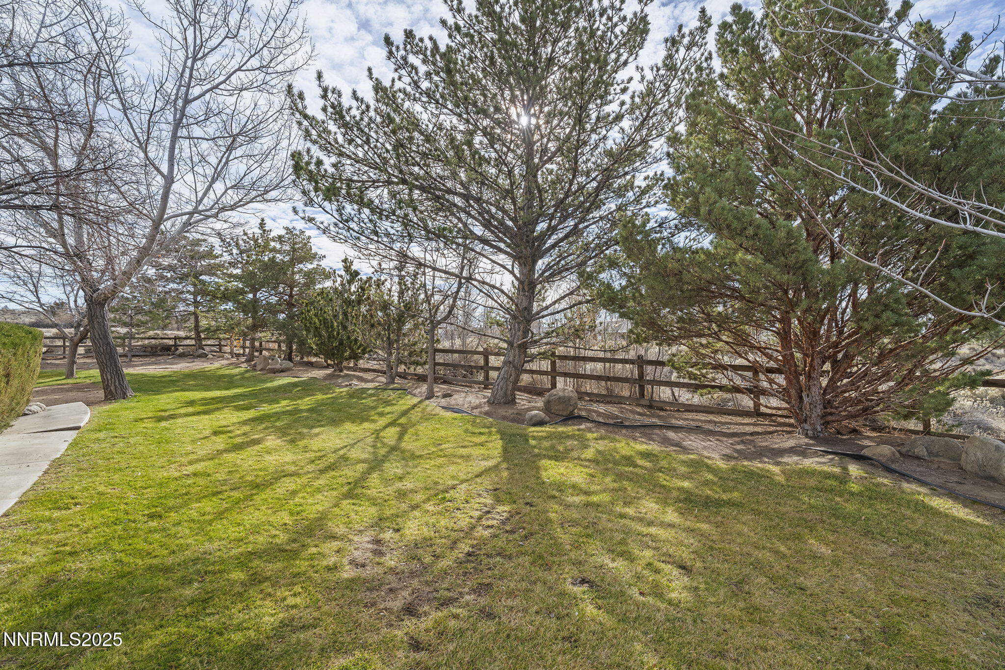 1653 Dees Lane Minden, NV 89423 - Photo 25 of 36 a view of yard with swimming pool