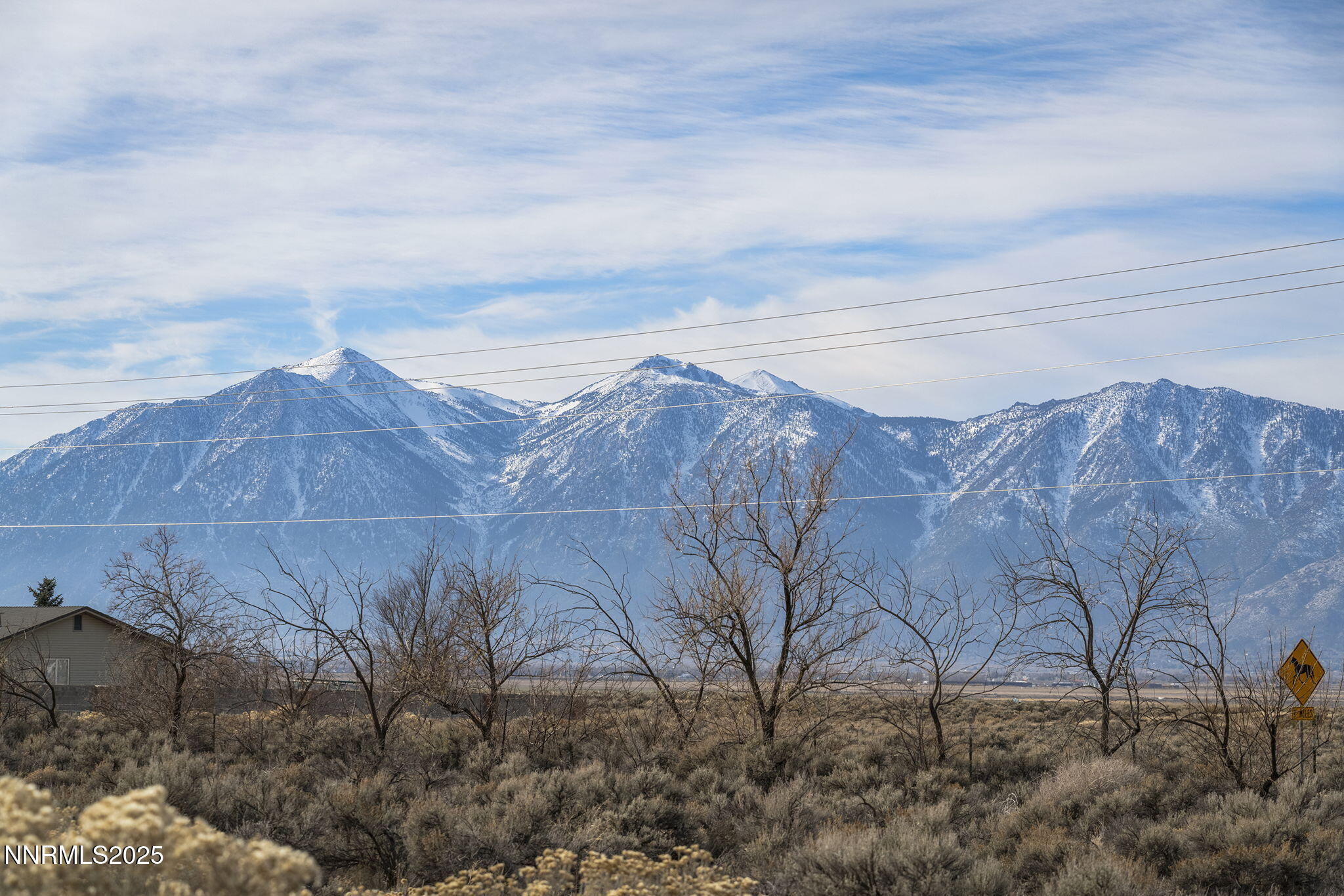 1653 Dees Lane Minden, NV 89423 - Photo 28 of 36 a view of a backyard