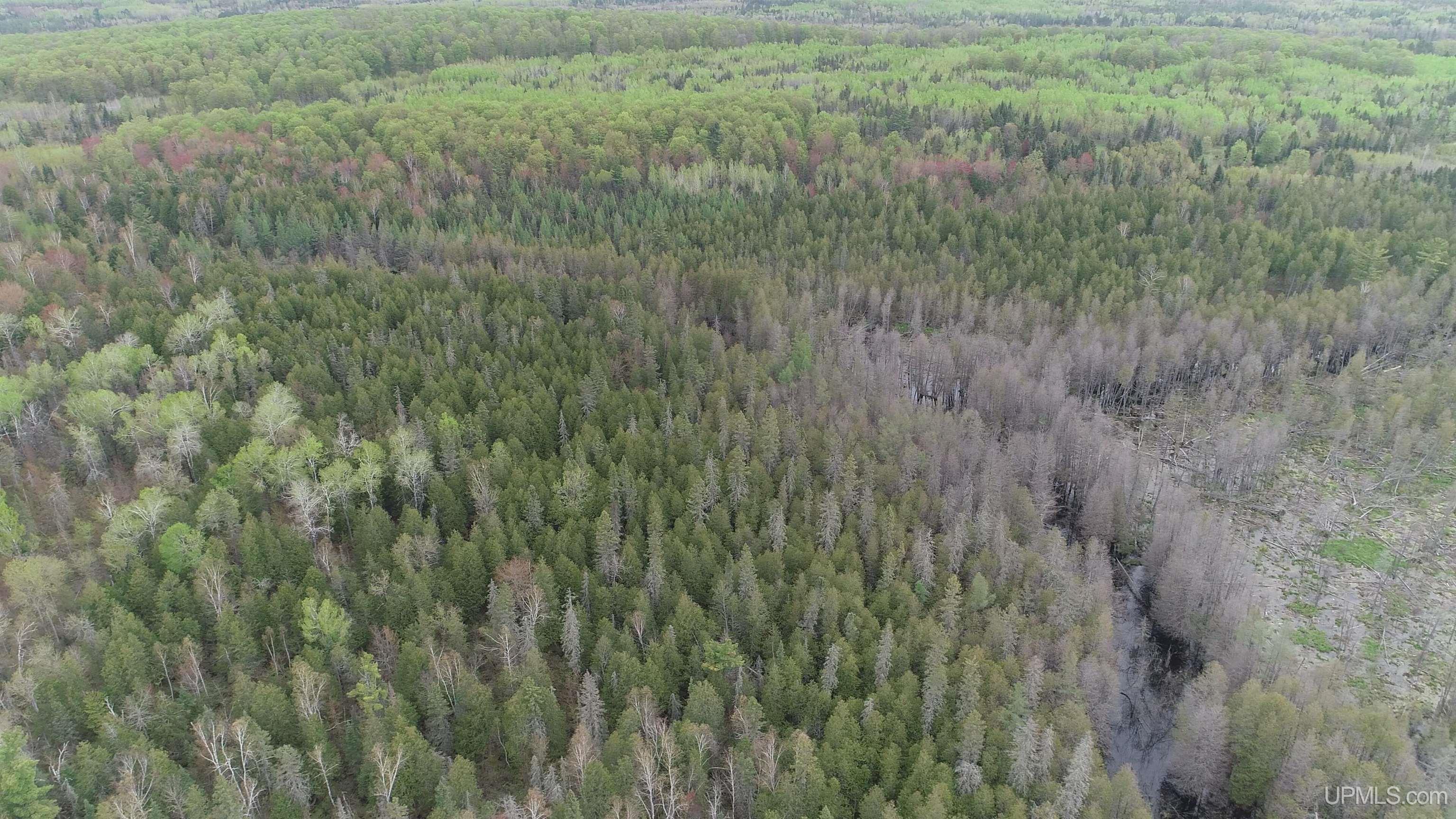 9 Rd Foster City Mi 49834 Road Felch, MI 49831 - Photo 18 of 32
