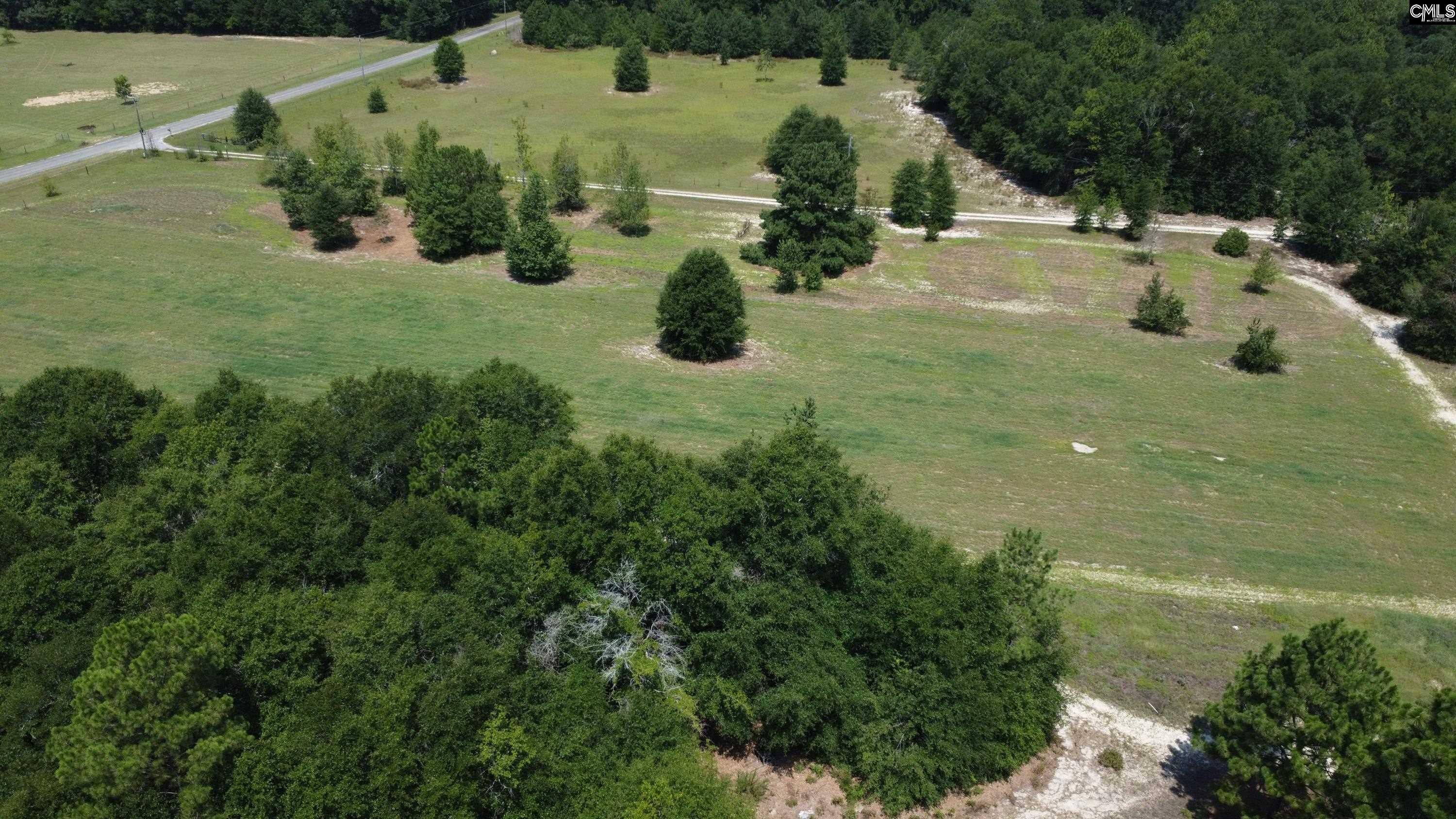 0 Poinsettia Road Wagener, SC 29164 - Photo 6 of 15 Gallery Image 6