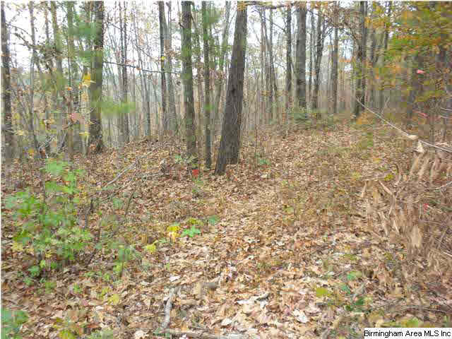 Bluff Ridge Road, Unit 16 Bessemer, AL 35022 - Photo 3 of 11