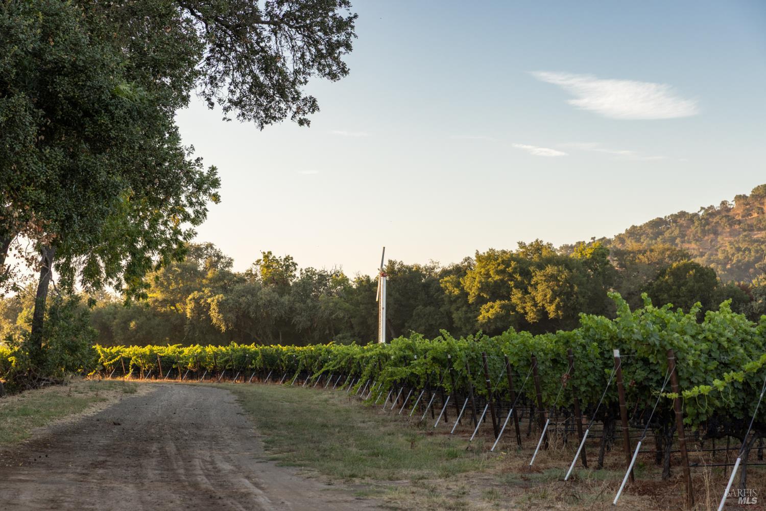 0 Ragatz Lane Napa, CA 94558 - Photo 23 of 27 Gallery Image 23