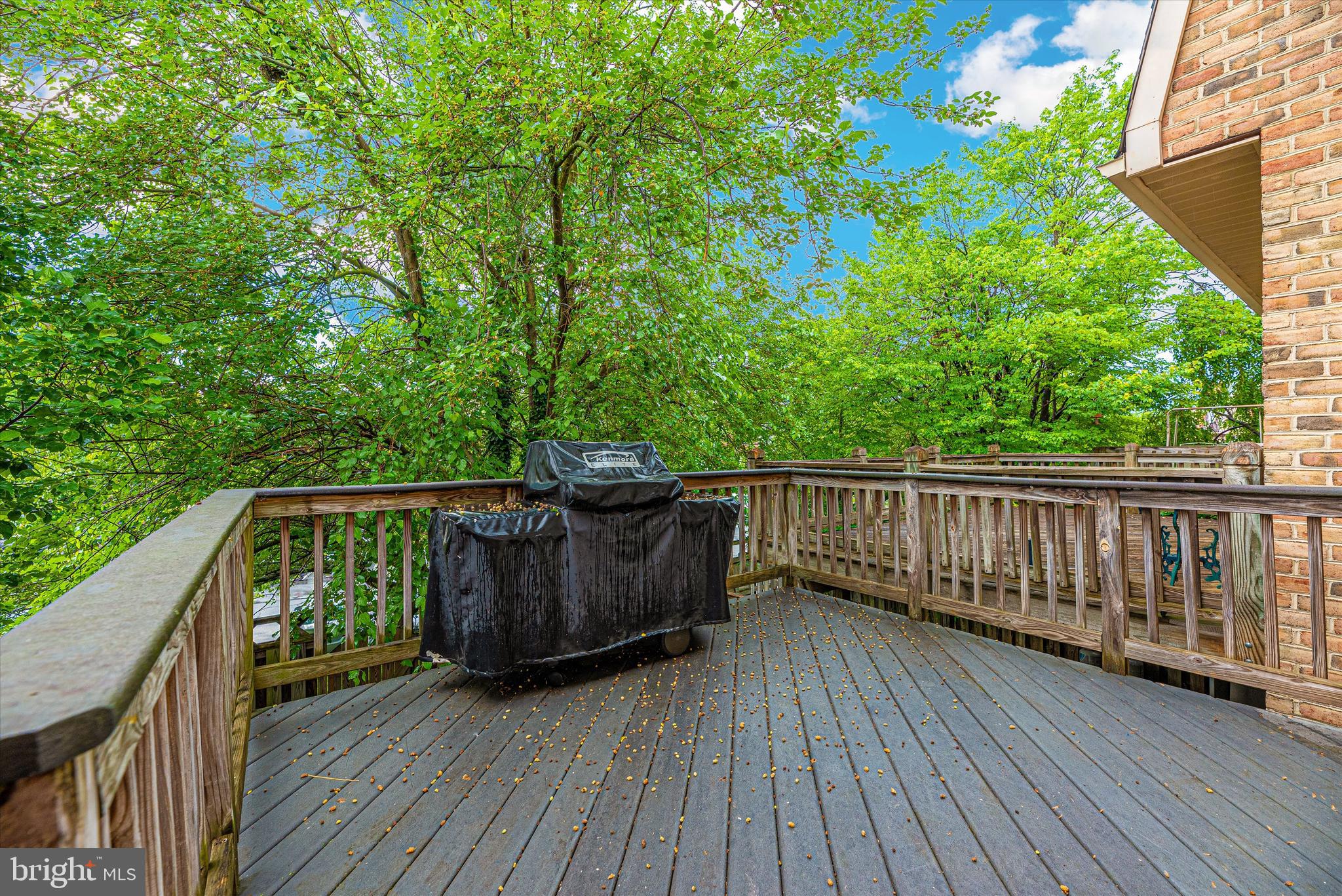 8021 Hollow Reed Court Frederick, MD 21701 - Photo 40 of 55 Spacious deck