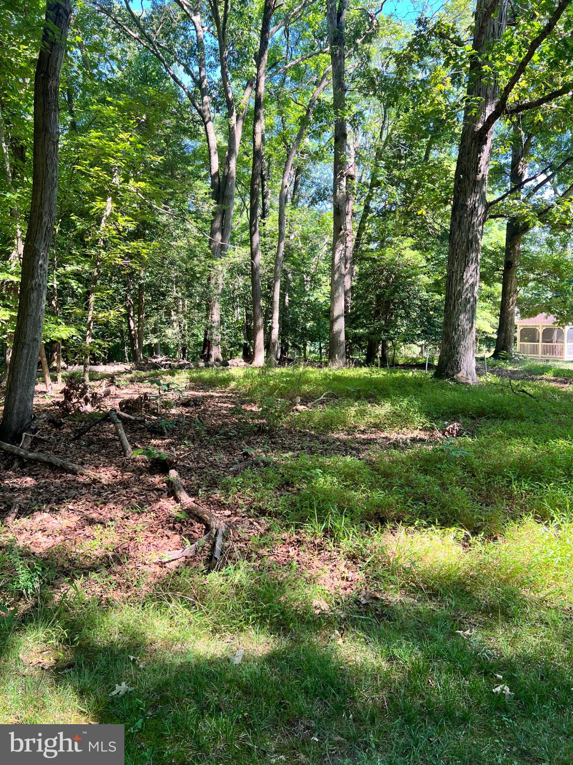 12955 Old Fort Road Fort Washington, MD 20744 - Photo 9 of 11 Lush woodland retreat awaits discovery.