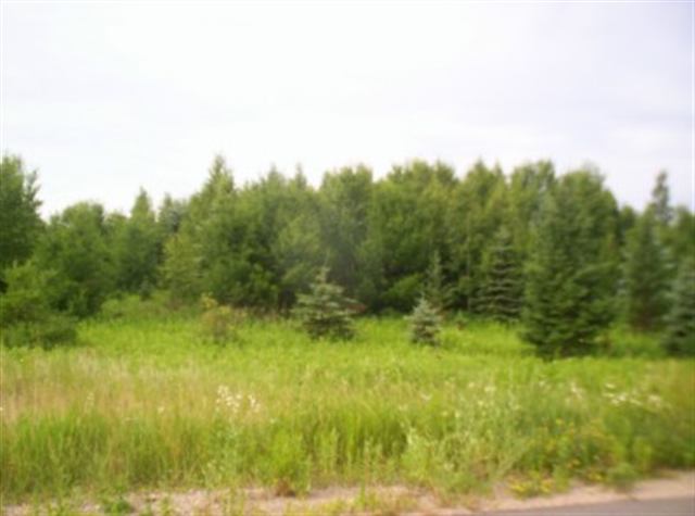 Lot #24 Prairie River Merrill, WI 54452 - Photo 1 of 1