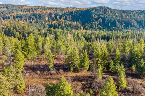 $145,000 | 31 Hwy Metaline Falls, Metaline Falls, WA 99153