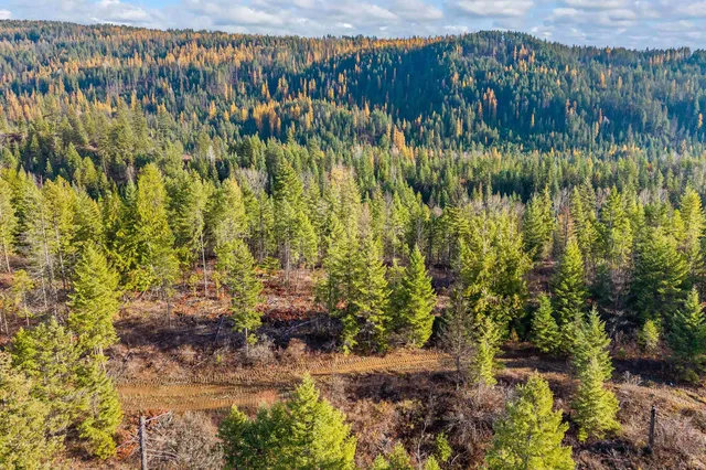 $150,000 | 31 Hwy Metaline Falls, Metaline Falls, WA 99153