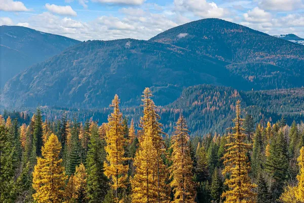 $145,000 | 31 Hwy Metaline Falls, Metaline Falls, WA 99153