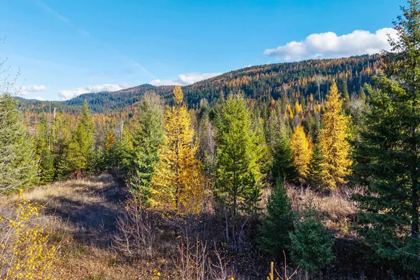 $145,000 | 31 Hwy Metaline Falls, Metaline Falls, WA 99153