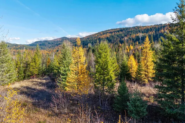 $150,000 | 31 Hwy Metaline Falls, Metaline Falls, WA 99153