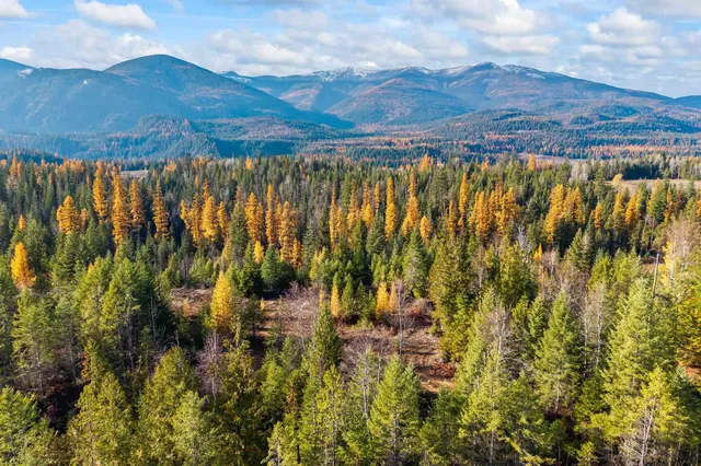 $150,000 | 31 Hwy Metaline Falls, Metaline Falls, WA 99153