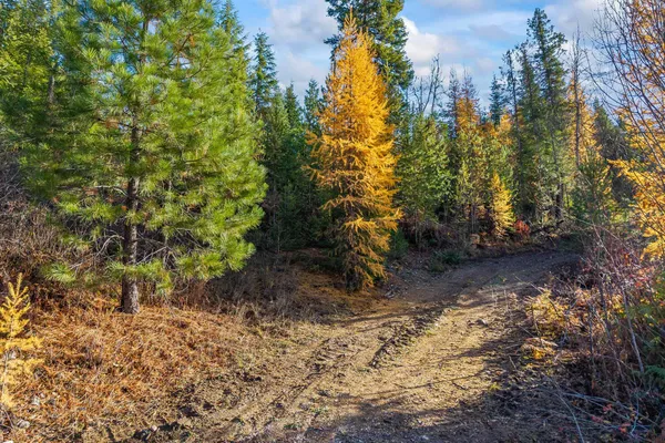 $145,000 | 31 Hwy Metaline Falls, Metaline Falls, WA 99153