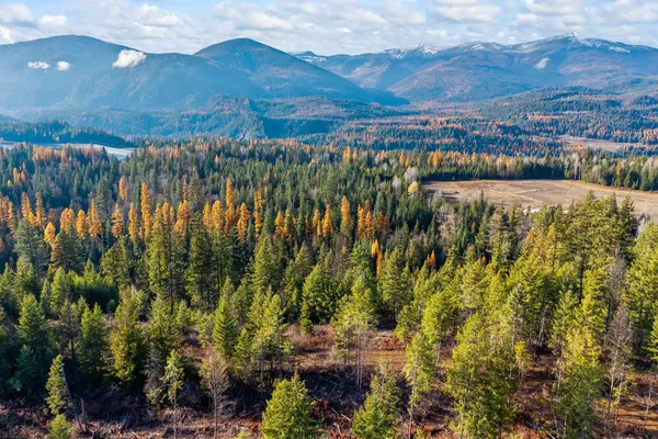 $145,000 | 31 Hwy Metaline Falls, Metaline Falls, WA 99153