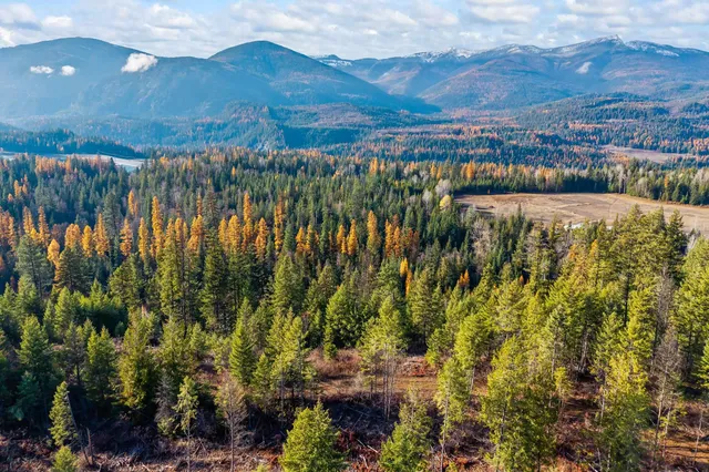 $150,000 | 31 Hwy Metaline Falls, Metaline Falls, WA 99153