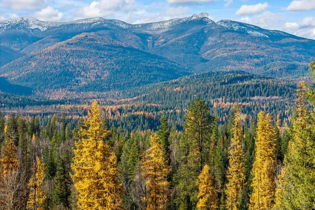 $150,000 | 31 Hwy Metaline Falls, Metaline Falls, WA 99153