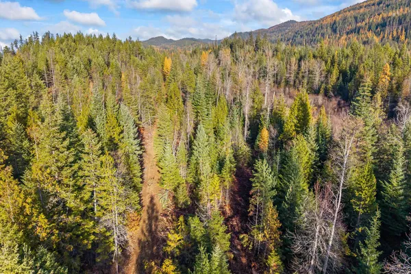 $145,000 | 31 Hwy Metaline Falls, Metaline Falls, WA 99153