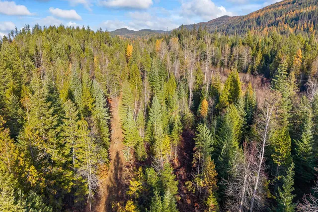 $150,000 | 31 Hwy Metaline Falls, Metaline Falls, WA 99153