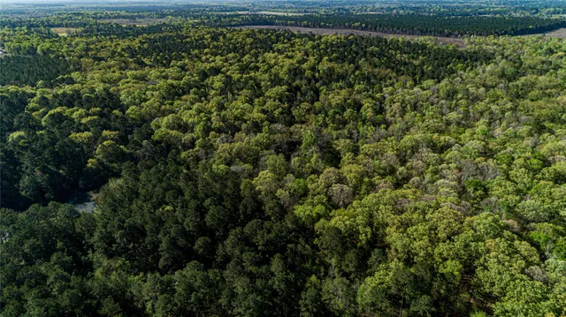 $196,586 | 0 Hwy 49 Jefferson Tx 75657, Jefferson, TX 75657