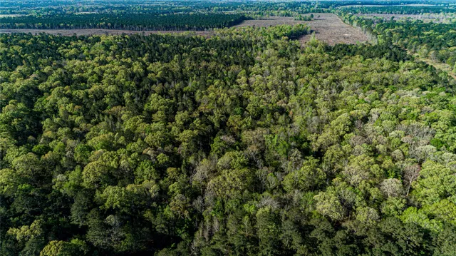 $196,586 | 0 Hwy 49 Jefferson Tx 75657, Jefferson, TX 75657