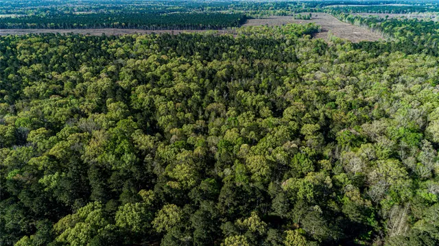 $196,586 | 0 Hwy 49 Jefferson Tx 75657, Jefferson, TX 75657