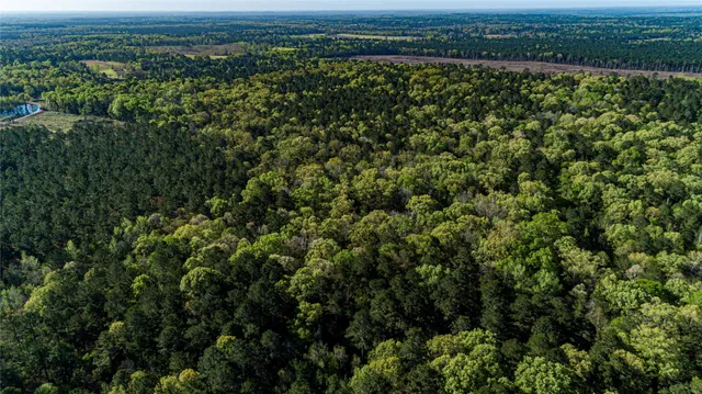 $196,586 | 0 Hwy 49 Jefferson Tx 75657, Jefferson, TX 75657