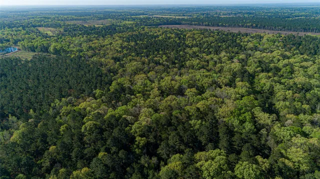 $196,586 | 0 Hwy 49 Jefferson Tx 75657, Jefferson, TX 75657