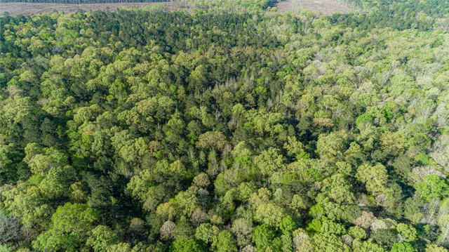 $196,586 | 0 Hwy 49 Jefferson Tx 75657, Jefferson, TX 75657