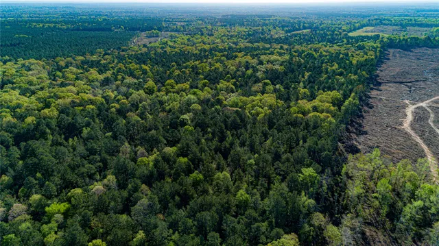 $196,586 | 0 Hwy 49 Jefferson Tx 75657, Jefferson, TX 75657