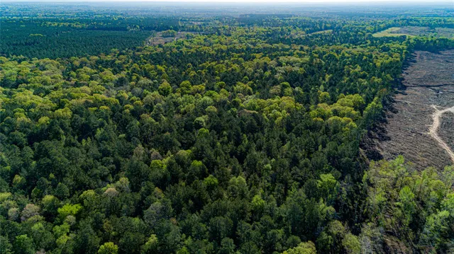 $196,586 | 0 Hwy 49 Jefferson Tx 75657, Jefferson, TX 75657