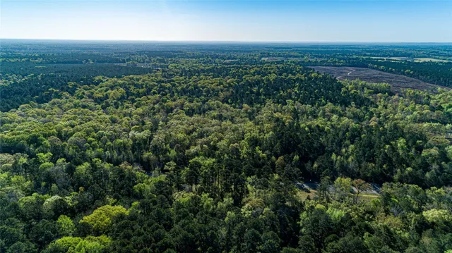 $196,586 | 0 Hwy 49 Jefferson Tx 75657, Jefferson, TX 75657