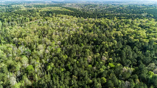 $196,586 | 0 Hwy 49 Jefferson Tx 75657, Jefferson, TX 75657