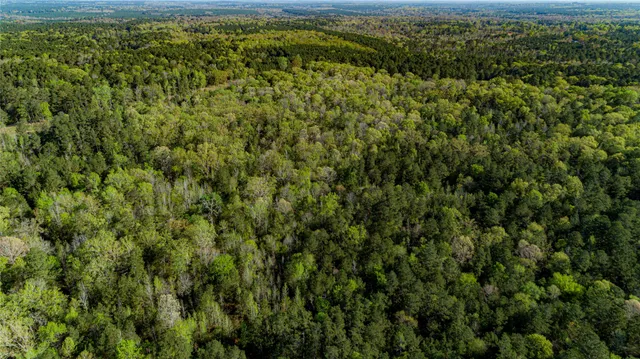 $196,586 | 0 Hwy 49 Jefferson Tx 75657, Jefferson, TX 75657