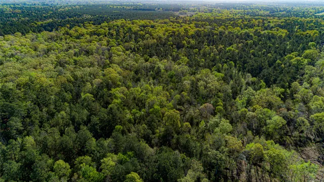 $196,586 | 0 Hwy 49 Jefferson Tx 75657, Jefferson, TX 75657