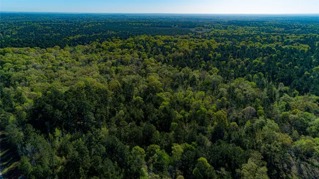 $196,586 | 0 Hwy 49 Jefferson Tx 75657, Jefferson, TX 75657