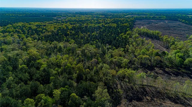 $196,586 | 0 Hwy 49 Jefferson Tx 75657, Jefferson, TX 75657