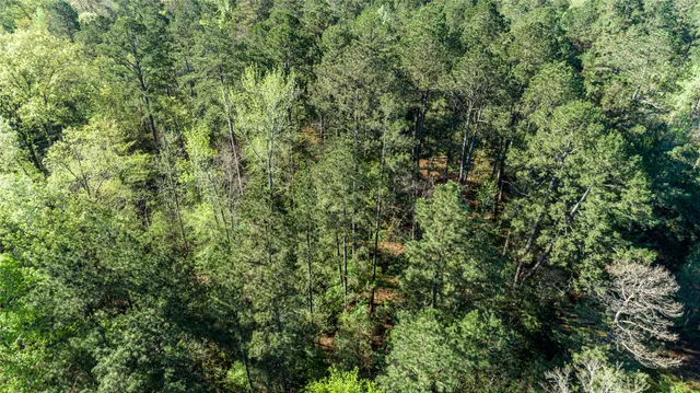 $196,586 | 0 Hwy 49 Jefferson Tx 75657, Jefferson, TX 75657