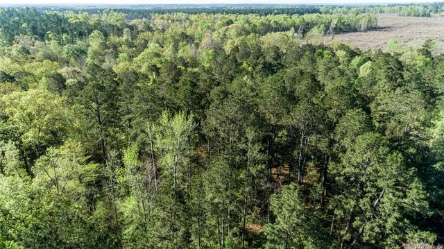 $196,586 | 0 Hwy 49 Jefferson Tx 75657, Jefferson, TX 75657